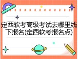 定西软考高级考试去哪里线下报名(定西软考报名点)