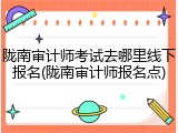 陇南审计师考试去哪里线下报名(陇南审计师报名点)