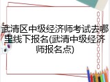 武清区中级经济师考试去哪里线下报名(武清中级经济师报名点)