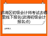 武清区初级会计师考试去哪里线下报名(武清初级会计报名点)