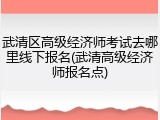 武清区高级经济师考试去哪里线下报名(武清高级经济师报名点)