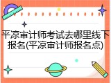 平凉审计师考试去哪里线下报名(平凉审计师报名点)