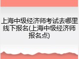 上海中级经济师考试去哪里线下报名(上海中级经济师报名点)