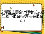 宁河区注册会计师考试去哪里线下报名(宁河注会报名点)