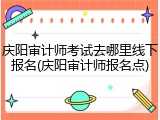 庆阳审计师考试去哪里线下报名(庆阳审计师报名点)