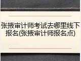 张掖审计师考试去哪里线下报名(张掖审计师报名点)