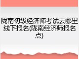 陇南初级经济师考试去哪里线下报名(陇南经济师报名点)