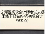宁河区初级会计师考试去哪里线下报名(宁河初级会计报名点)