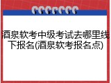 酒泉软考中级考试去哪里线下报名(酒泉软考报名点)