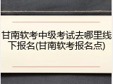 甘南软考中级考试去哪里线下报名(甘南软考报名点)