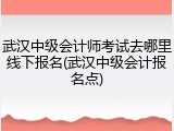 武汉中级会计师考试去哪里线下报名(武汉中级会计报名点)