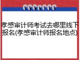孝感审计师考试去哪里线下报名(孝感审计师报名地点)
