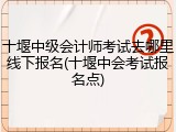 十堰中级会计师考试去哪里线下报名(十堰中会考试报名点)