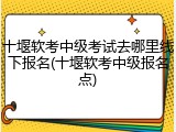 十堰软考中级考试去哪里线下报名(十堰软考中级报名点)