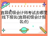 宜昌初级会计师考试去哪里线下报名(宜昌初级会计报名点)