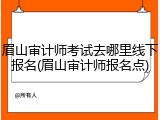 眉山审计师考试去哪里线下报名(眉山审计师报名点)