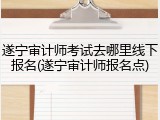 遂宁审计师考试去哪里线下报名(遂宁审计师报名点)