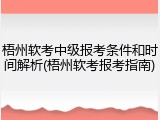 梧州软考中级报考条件和时间解析(梧州软考报考指南)