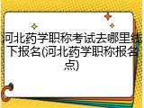 河北药学职称考试去哪里线下报名(河北药学职称报名点)