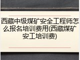西藏中级煤矿安全工程师怎么报名培训费用(西藏煤矿安工培训费)