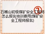 石嘴山初级煤矿安全工程师怎么报名培训费用(煤矿安全工程师报名)