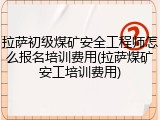 拉萨初级煤矿安全工程师怎么报名培训费用(拉萨煤矿安工培训费用)