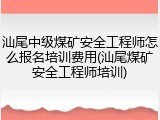 汕尾中级煤矿安全工程师怎么报名培训费用(汕尾煤矿安全工程师培训)
