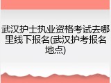 武汉护士执业资格考试去哪里线下报名(武汉护考报名地点)