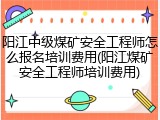 阳江中级煤矿安全工程师怎么报名培训费用(阳江煤矿安全工程师培训费用)