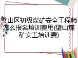 璧山区初级煤矿安全工程师怎么报名培训费用(璧山煤矿安工培训费)