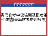 青岛软考中级培训及报考条件详情(青岛软考培训报考)