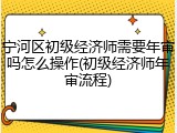 宁河区初级经济师需要年审吗怎么操作(初级经济师年审流程)
