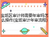 宝坻区审计师需要年审吗怎么操作(宝坻审计年审流程)