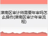 津南区审计师需要年审吗怎么操作(津南区审计年审流程)