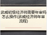 武威初级经济师需要年审吗怎么操作(武威经济师年审流程)