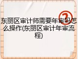 东丽区审计师需要年审吗怎么操作(东丽区审计年审流程)
