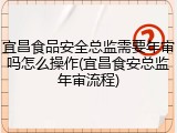 宜昌食品安全总监需要年审吗怎么操作(宜昌食安总监年审流程)