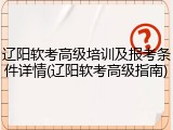 辽阳软考高级培训及报考条件详情(辽阳软考高级指南)