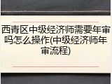 西青区中级经济师需要年审吗怎么操作(中级经济师年审流程)