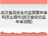 武汉食品安全总监需要年审吗怎么操作(武汉食安总监年审流程)