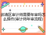 武清区审计师需要年审吗怎么操作(审计师年审流程)
