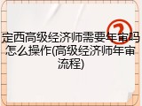 定西高级经济师需要年审吗怎么操作(高级经济师年审流程)