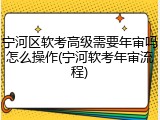 宁河区软考高级需要年审吗怎么操作(宁河软考年审流程)