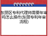 东丽区专利代理师需要年审吗怎么操作(东丽专利年审流程)