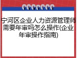 宁河区企业人力资源管理师需要年审吗怎么操作(企业年审操作指南)