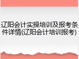 辽阳会计实操培训及报考条件详情(辽阳会计培训报考)