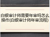 白银审计师需要年审吗怎么操作(白银审计师年审流程)