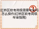 红桥区软考高级需要年审吗怎么操作(红桥区软考高级年审指南)