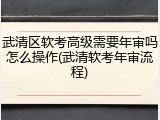 武清区软考高级需要年审吗怎么操作(武清软考年审流程)