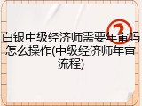 白银中级经济师需要年审吗怎么操作(中级经济师年审流程)